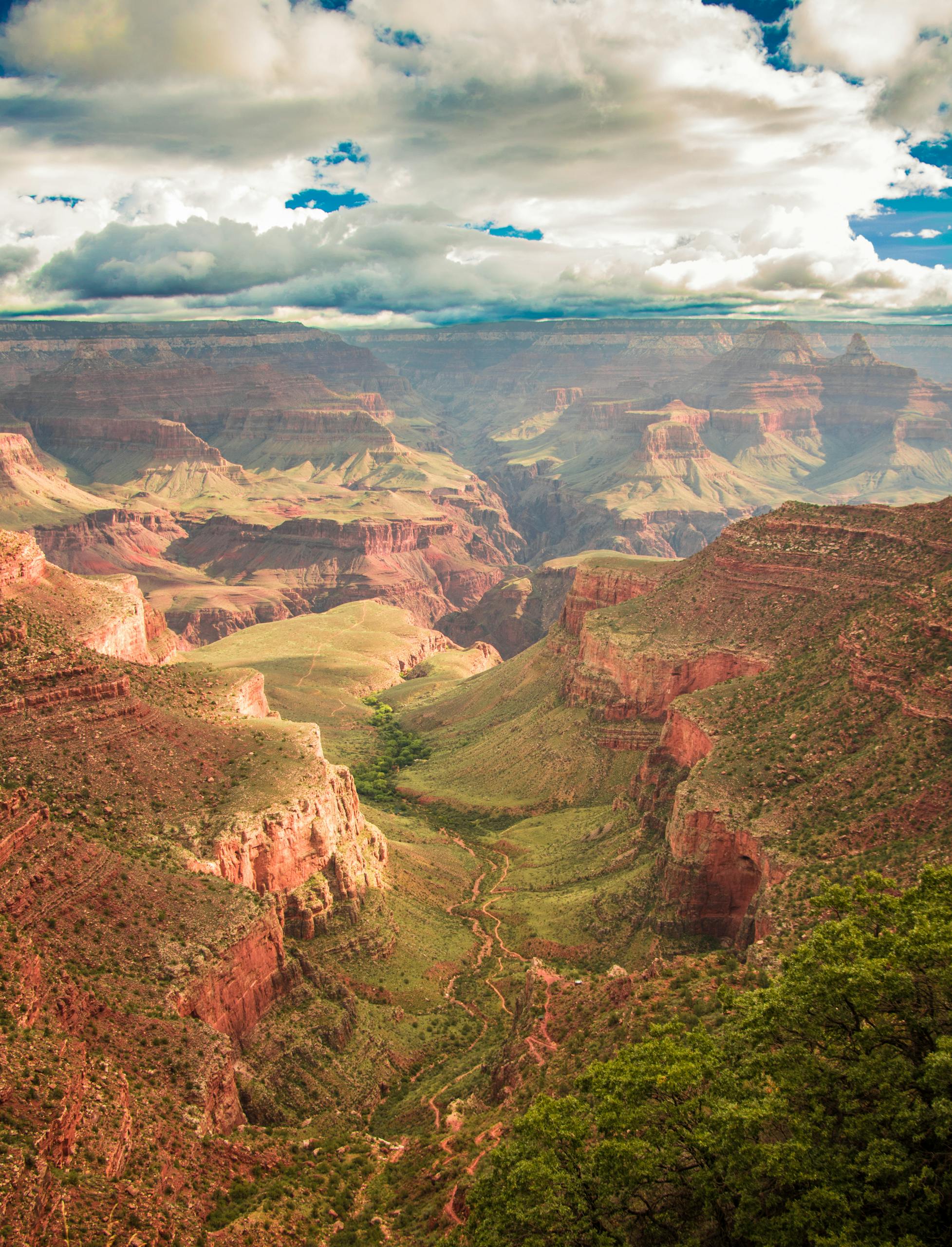 Breathtaking panoramic view of the Grand Canyon under dramatic skies.